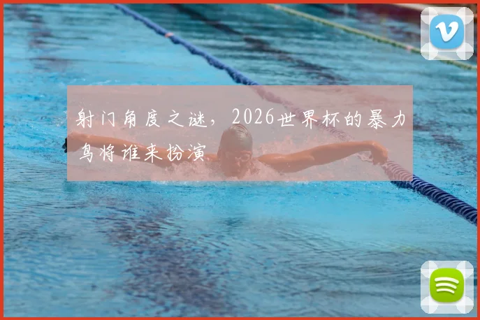 射门角度之谜，2026世界杯的暴力鸟将谁来扮演