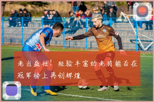 老当益壮！经验丰富的老将能否在冠军榜上再创辉煌